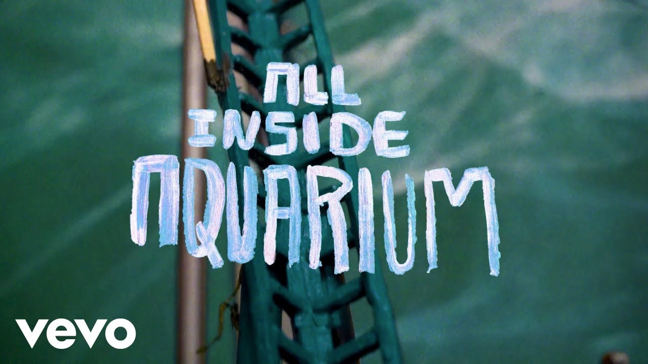 Video Thumbnail: BODEGA - All Inside Aquarium (Official Video)