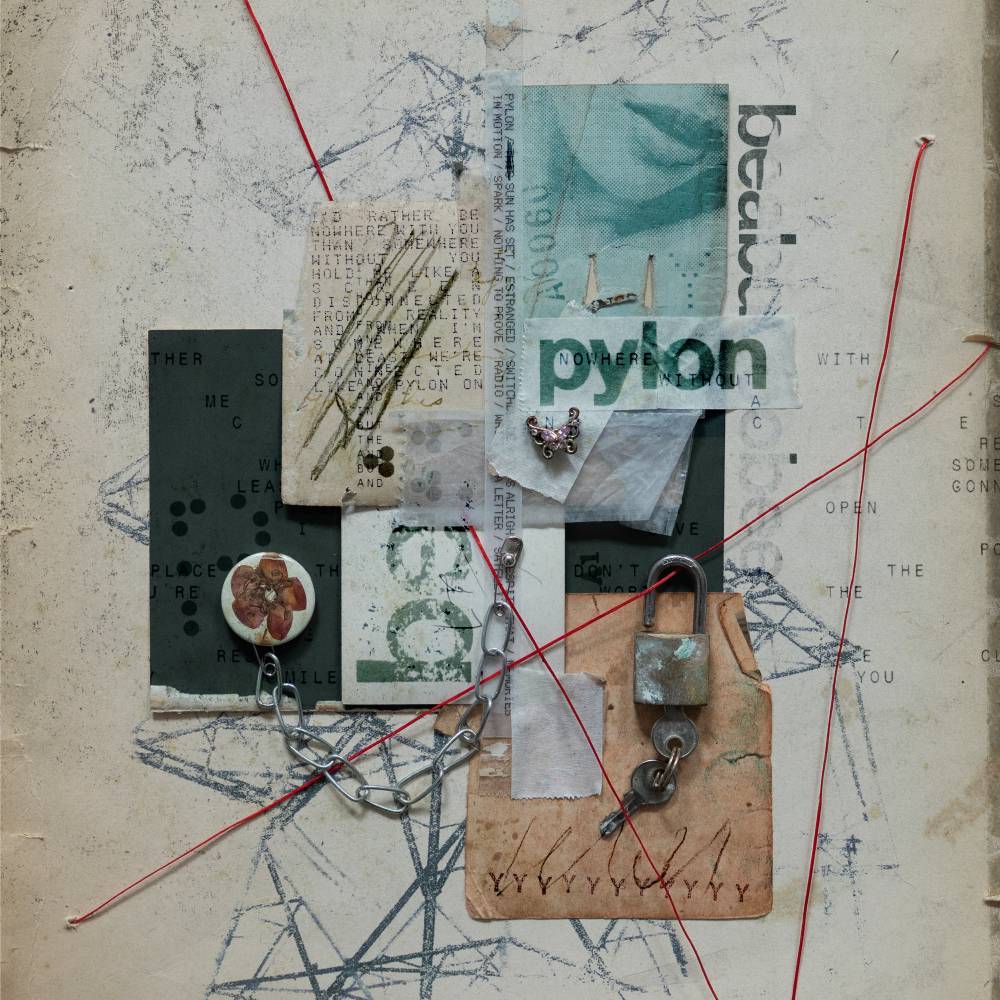 Beabadoobee - Pylon LP Artwork