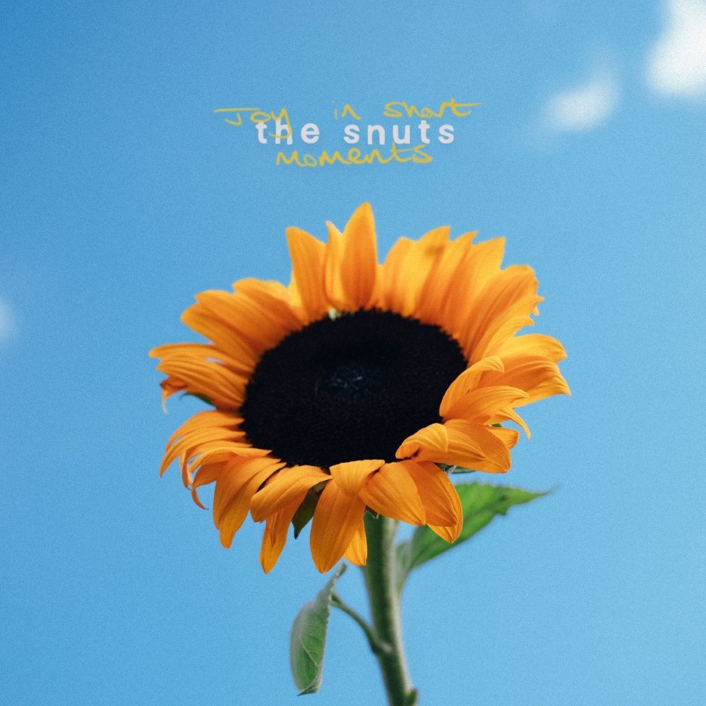 The Snuts - 'Joy In Short Moments' Album Cover